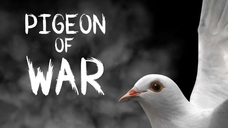 https://www.gamerome.com/wp-content/uploads/2019/10/pigeon_of_war.jpg